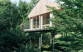 Baumhaus Buchengruen